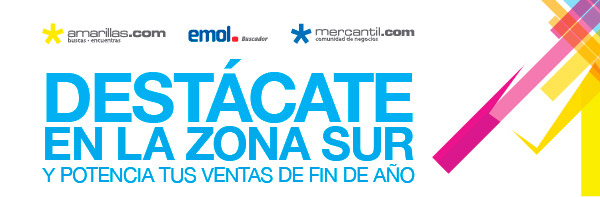 Destácate en la Zona Sur y potencia tus ventas de fin de año